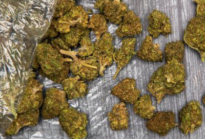 Cannabis